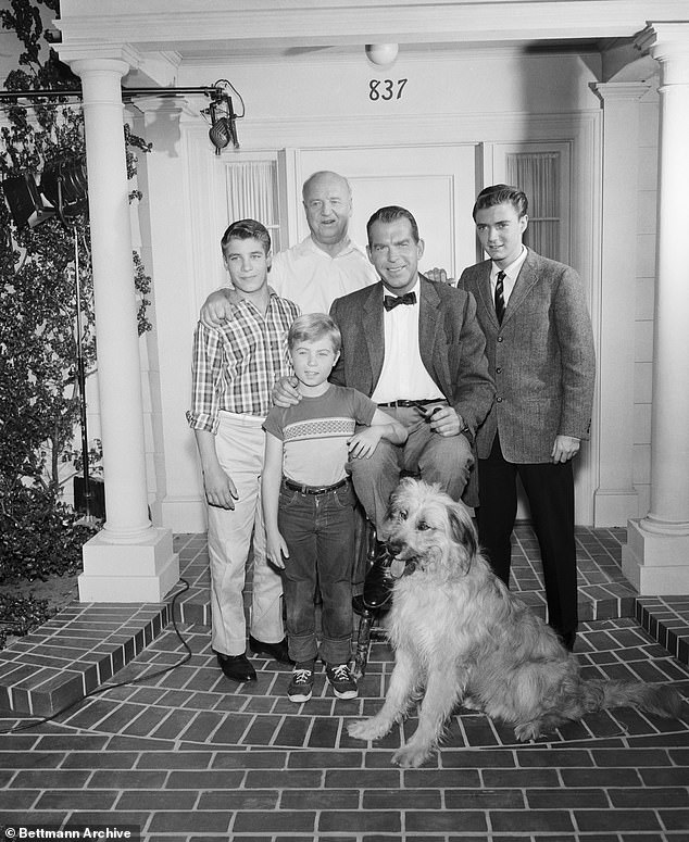 Outbreak: After success with Disney in the 1950s, Considine starred in My Three Sons from 196 to 1965, though the show ran until 1972;  Pictured right with Don Grady, Stanley Livingston, William Frawley and Fred McMurray