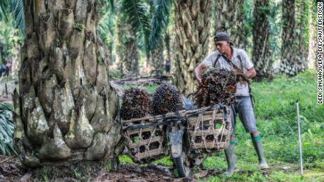 Palm oil is in half of your purchases.  Here's the reason for the price hike