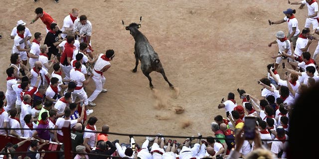 A bull calf enters the bullring at the end of the bull run for more entertainment at the San Fermin Festival in Pamplona, ​​Spain, on Monday, July 11, 2022.
