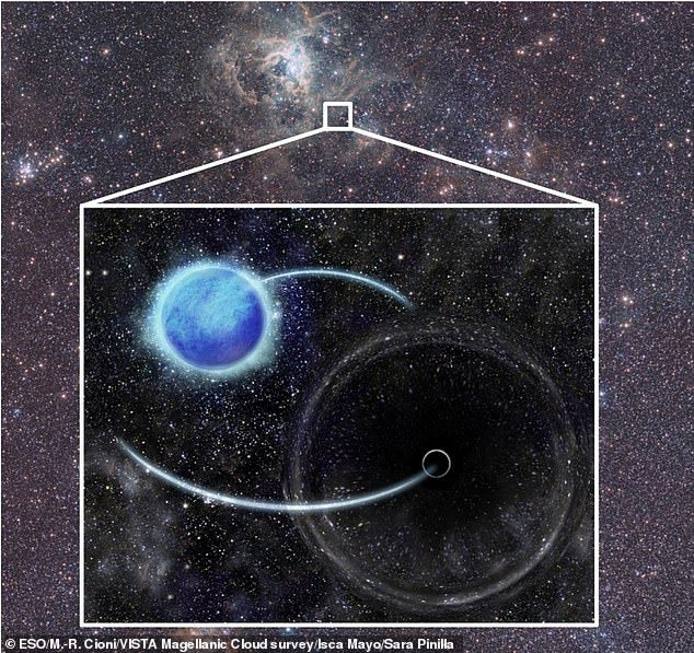 Artist's impression of the binary system VFTS 243. The background image shows the Visible and Infrared Survey Telescope for Astronomy (VISTA) image of a portion of the Large Magellanic Cloud, indicating the region in which VFTS 243 is located. The star and black hole sizes and orbits are not close to each other.