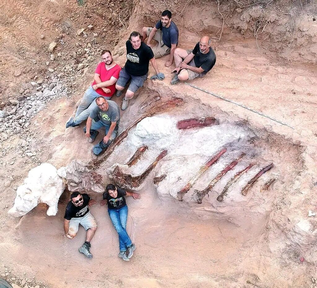 In August, paleontologists collected 10-foot-long ribs.  