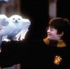Yer a delic, Harry: The first Harry Potter movie premiered exactly 20 years ago 