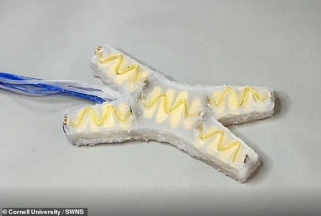 The tiny robot, which looks like a starfish, is able to detect when and where it has been damaged and then heal itself